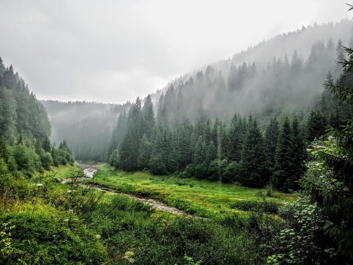 Zlatarske Brvnare Zlatar Chalets Nova Varoš Zewnętrze zdjęcie