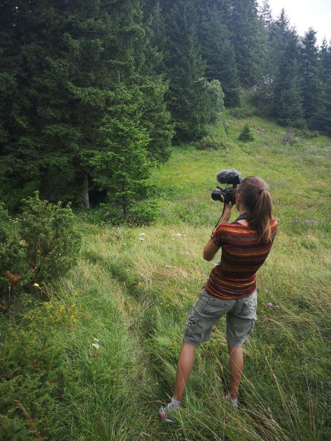 Zlatarske Brvnare Zlatar Chalets Nova Varoš Zewnętrze zdjęcie