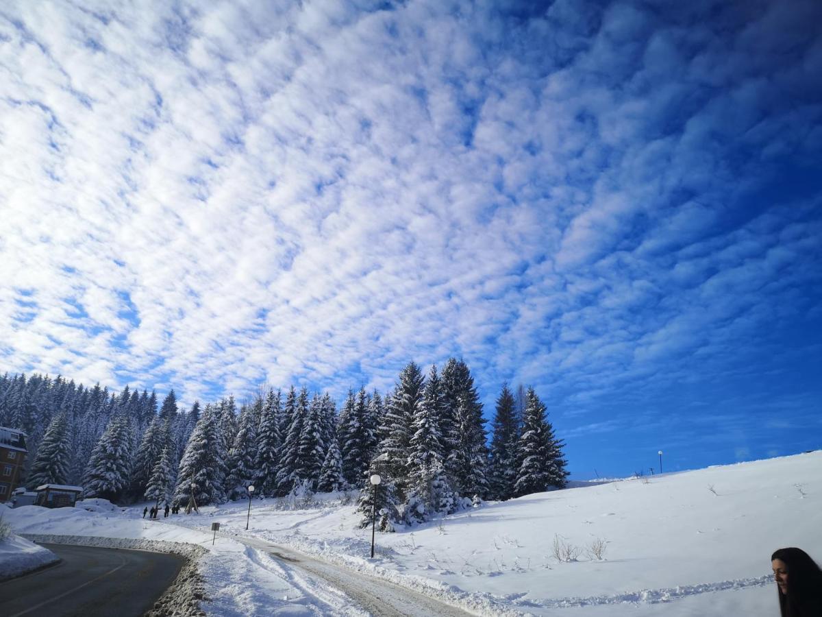 Zlatarske Brvnare Zlatar Chalets Nova Varoš Zewnętrze zdjęcie