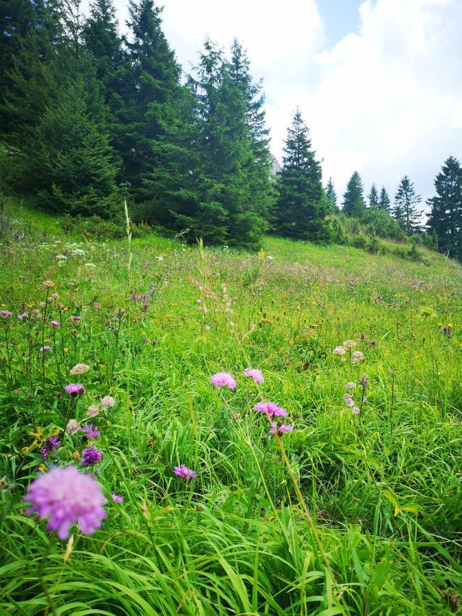 Zlatarske Brvnare Zlatar Chalets Nova Varoš Zewnętrze zdjęcie